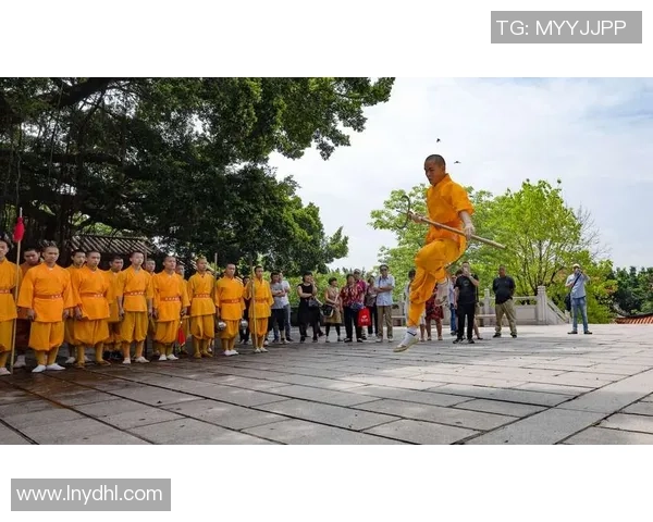 成都攀岩队区域防守体系的战术解析与实战应用研究