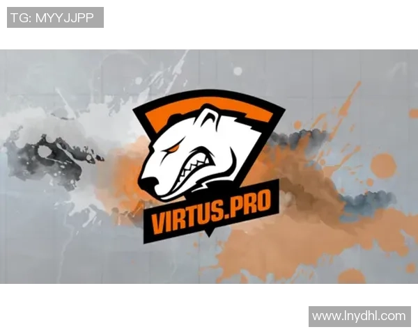 WE战队的荣耀与坚持CSGO历程中的奋斗与成长纪实